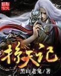 掠天記